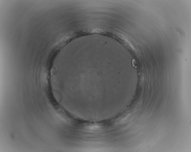 X0000115410643200911241329