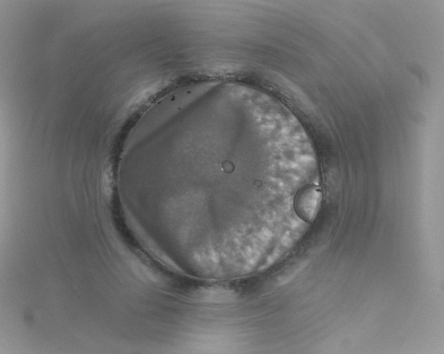 X0000115410644200911241329