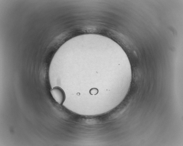 X0000115410645200911241329