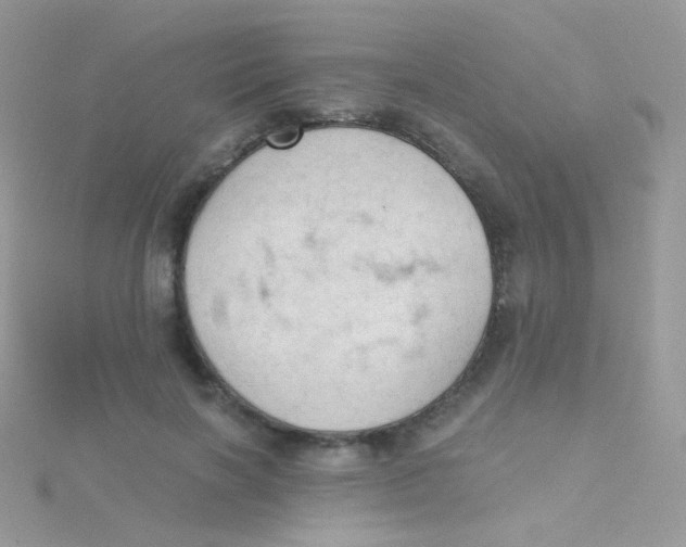 X0000115410646200911241329