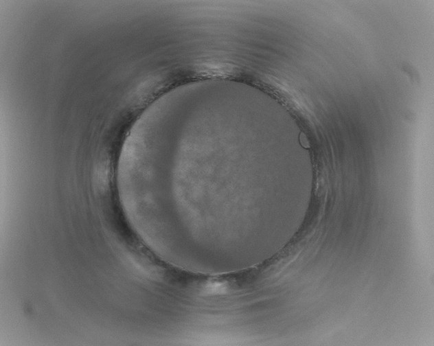 X0000115410647200911241329