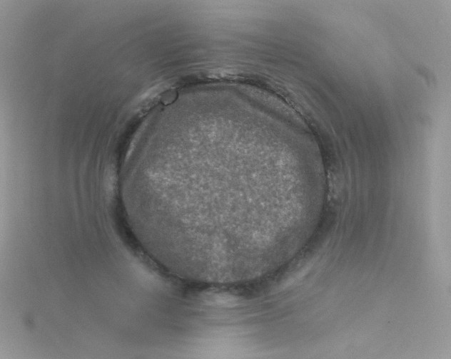 X0000115410648200911241329