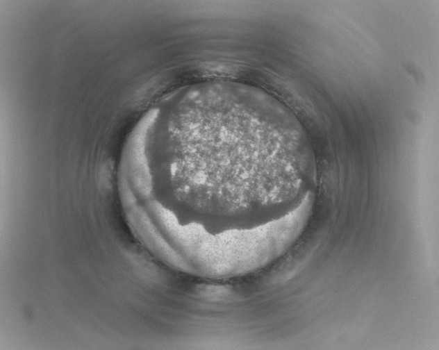 X0000115410649200911241329