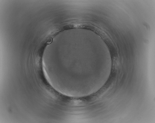 X0000115410650200911241329