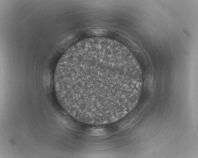 X0000115410651200911241329