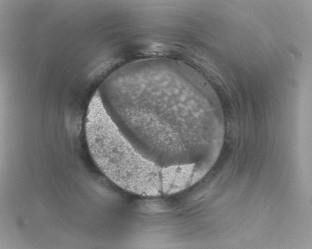 X0000115410652200911241329