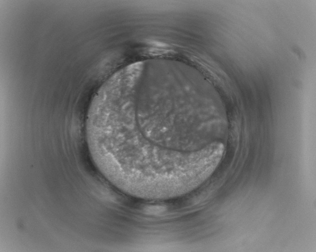 X0000115410653200911241329