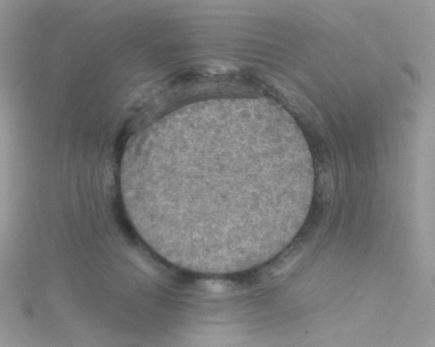 X0000115410654200911241329