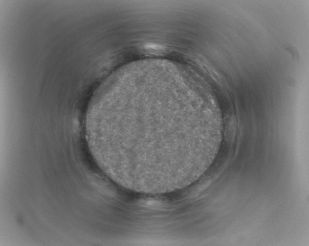 X0000115410655200911241329