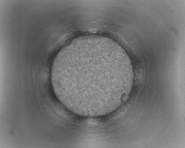 X0000115410656200911241329