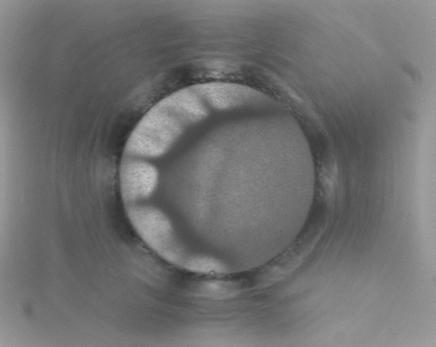 X0000115410657200911241329