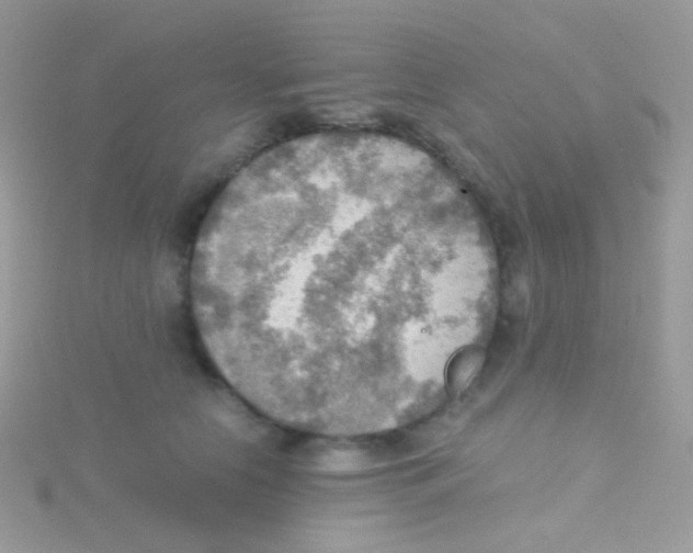 X0000115410658200911241329