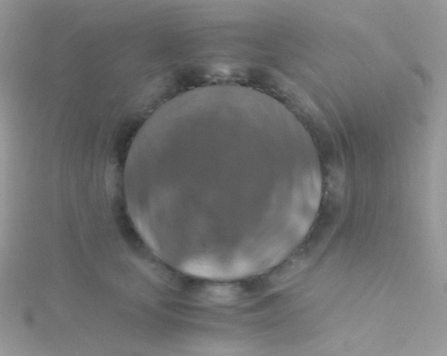 X0000115410659200911241329