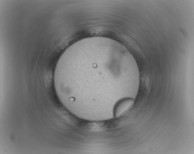 X0000115410660200911241329