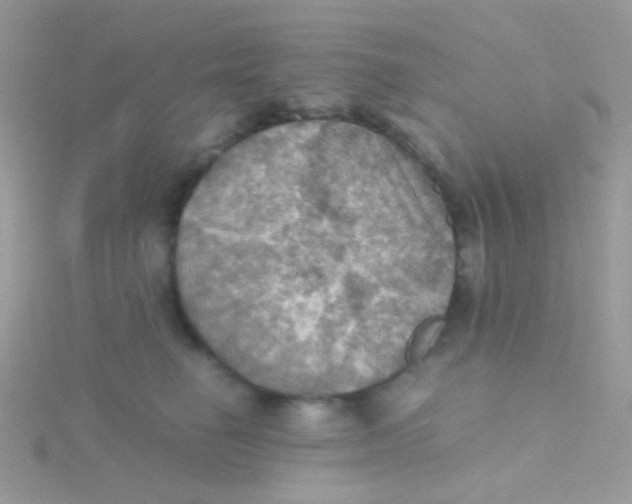 X0000115410662200911241329