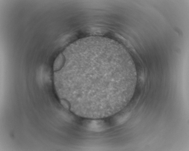 X0000115410663200911241329