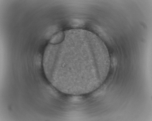 X0000115410664200911241329