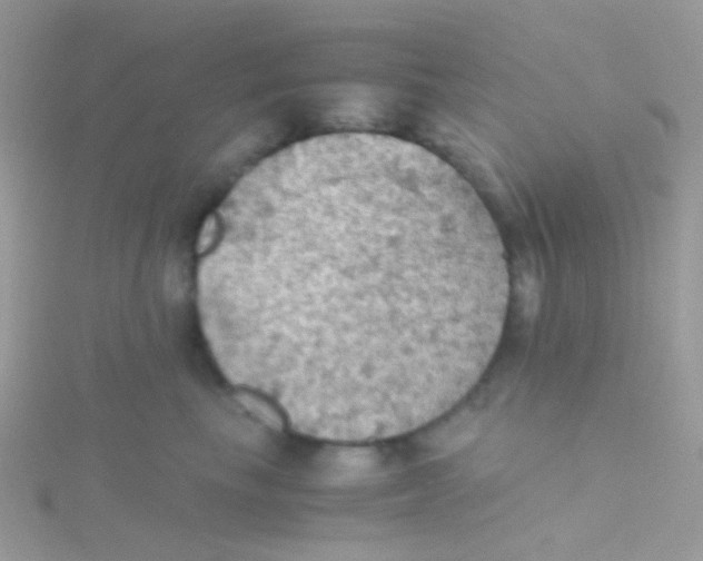 X0000115410665200911241329