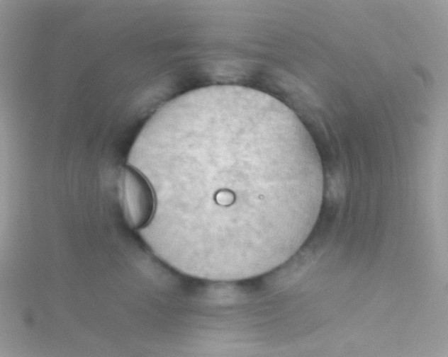 X0000115410666200911241329