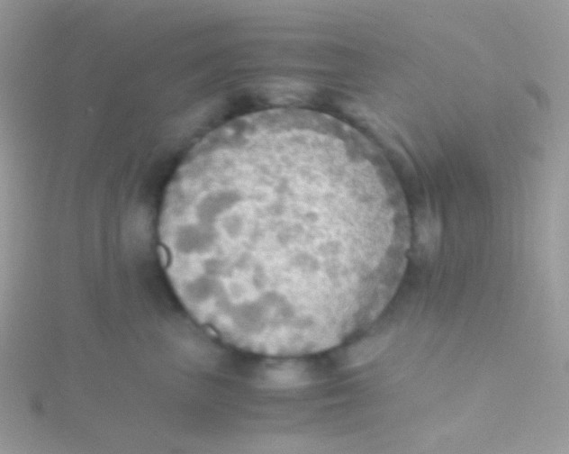 X0000115410667200911241329