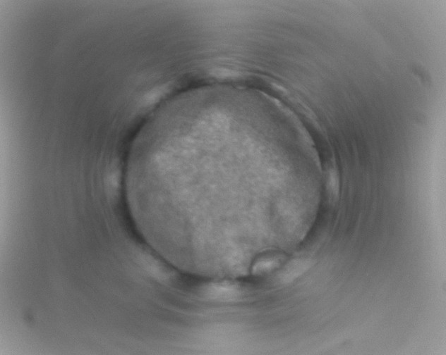 X0000115410668200911241329