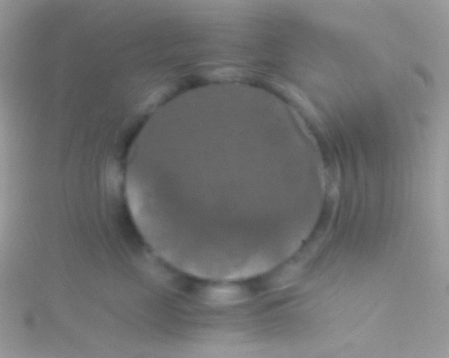 X0000115410669200911241329