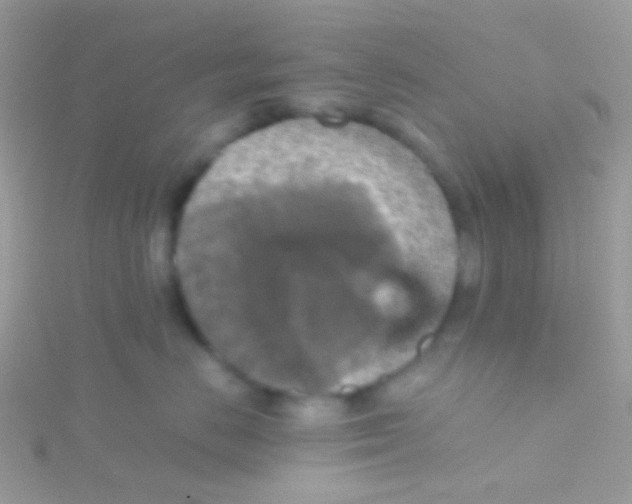 X0000115410670200911241329