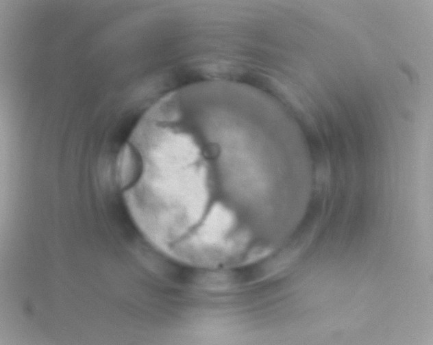 X0000115410671200911241329