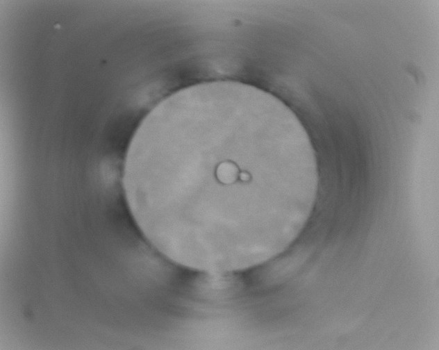 X0000115410672200911241329