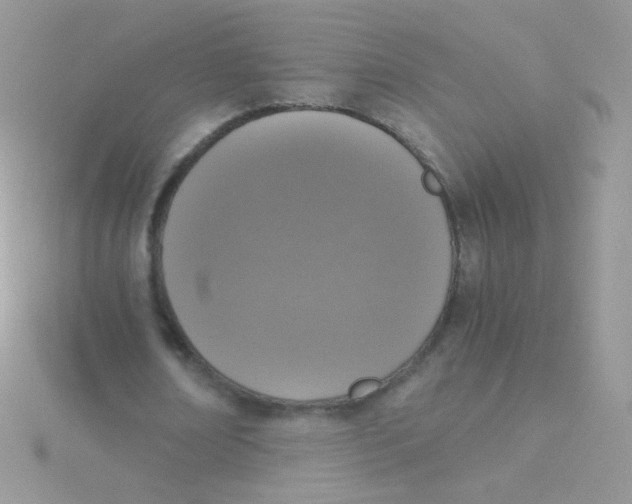 X0000115410674200911241328