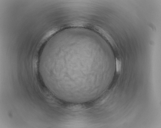 X0000115410675200911241328