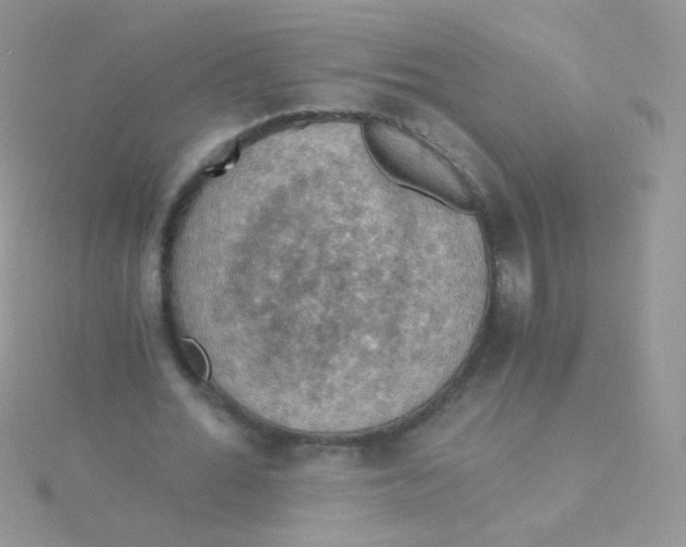 X0000115410676200911241328