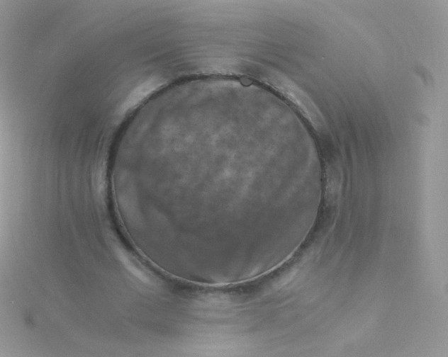 X0000115410677200911241328