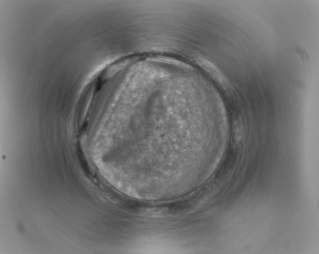 X0000115410680200911241328