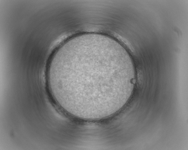 X0000115410682200911241328