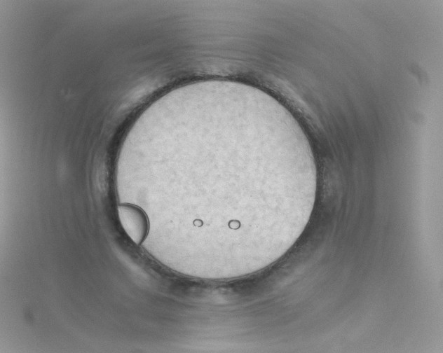 X0000115410683200911241328