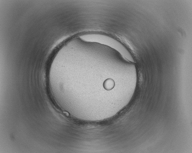 X0000115410684200911241328