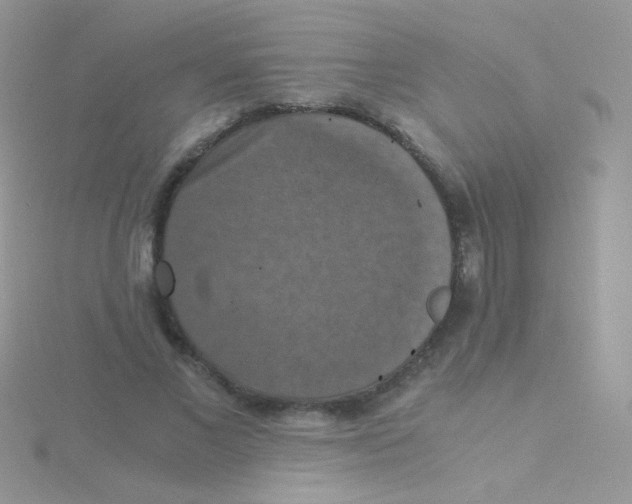 X0000115410685200911241328