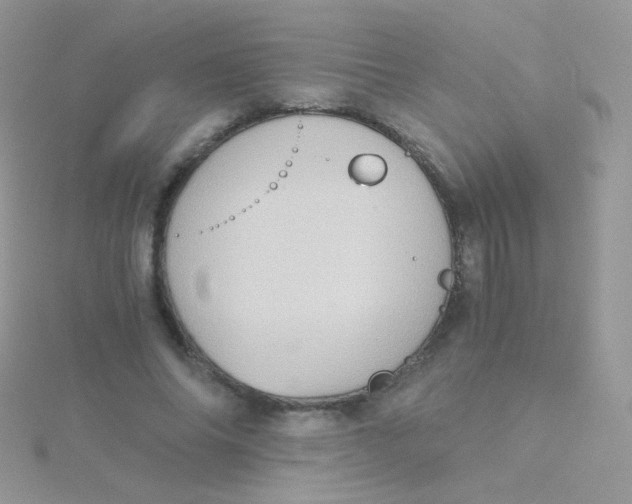 X0000115410686200911241328