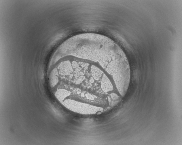 X0000115410687200911241328