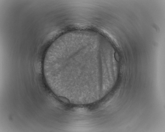 X0000115410689200911241328