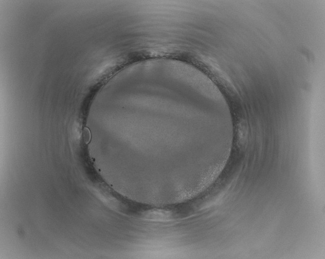 X0000115410691200911241328