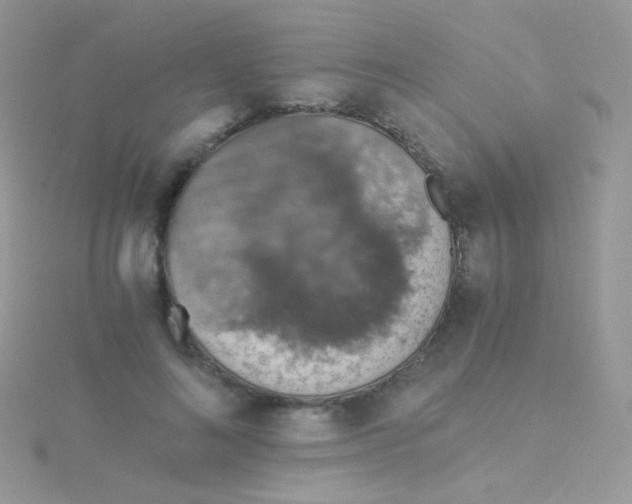 X0000115410692200911241328