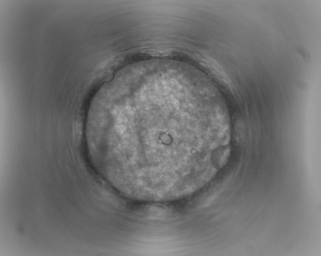 X0000115410697200911241328