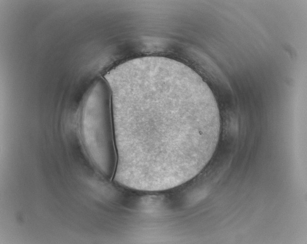 X0000115410700200911241328