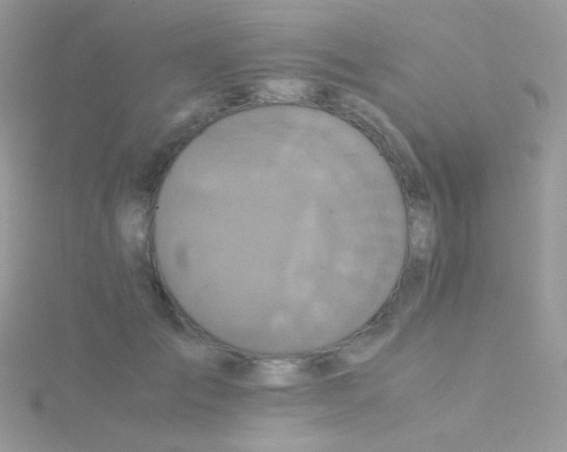 X0000115410701200911241328