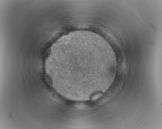 X0000115410704200911241328