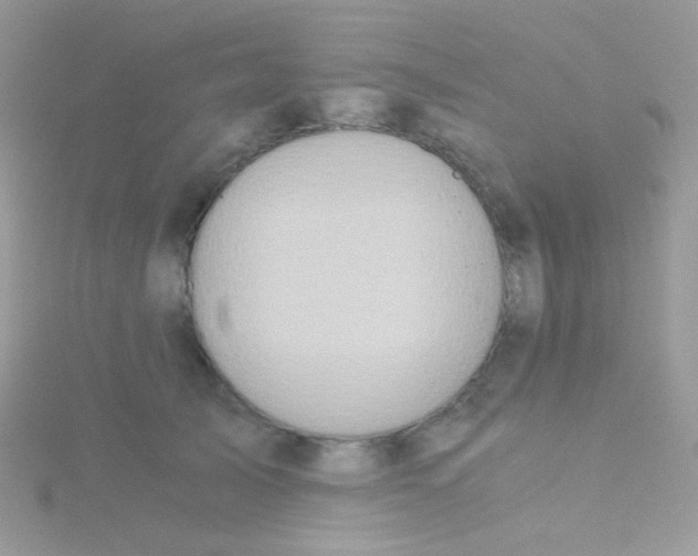 X0000115410705200911241328