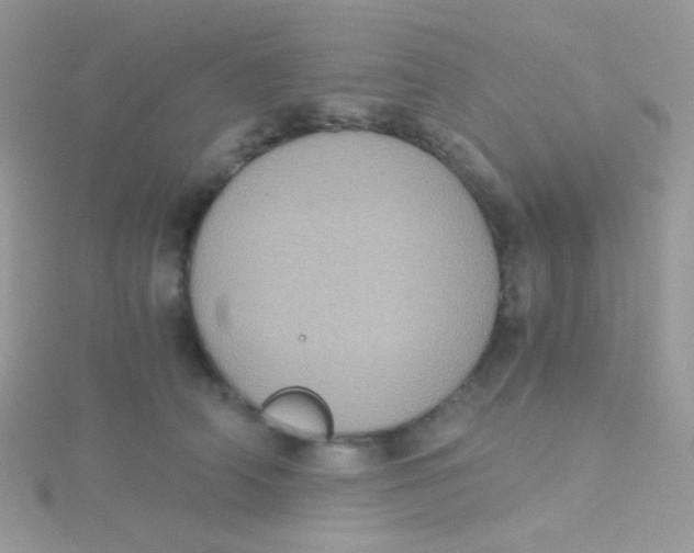 X0000115410706200911241328