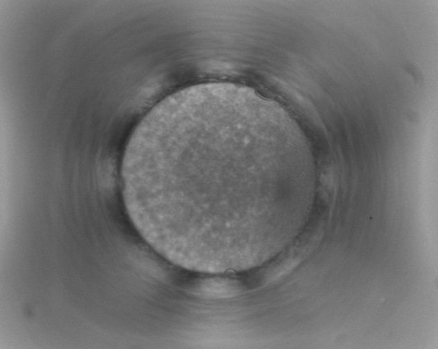 X0000115410708200911241328